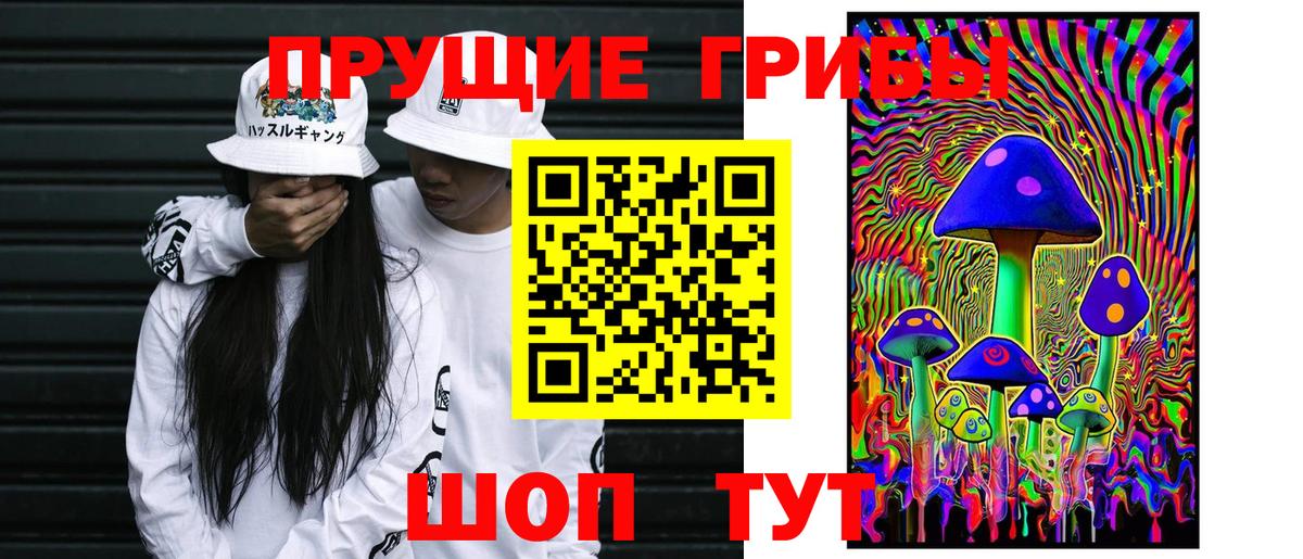 даркнет сайт  Галлюциногенные грибы мухоморы  Кушва  Вход с VPN  Псилоцибиновые грибы MAGIC MUSHROOMS 