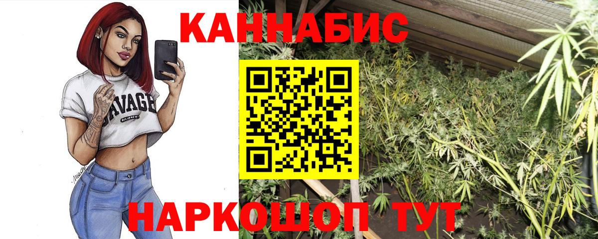 Каннабис Ganja  Конопля планчик  Бошки Шишки THC 21%  Кушва  Вход с VPN 